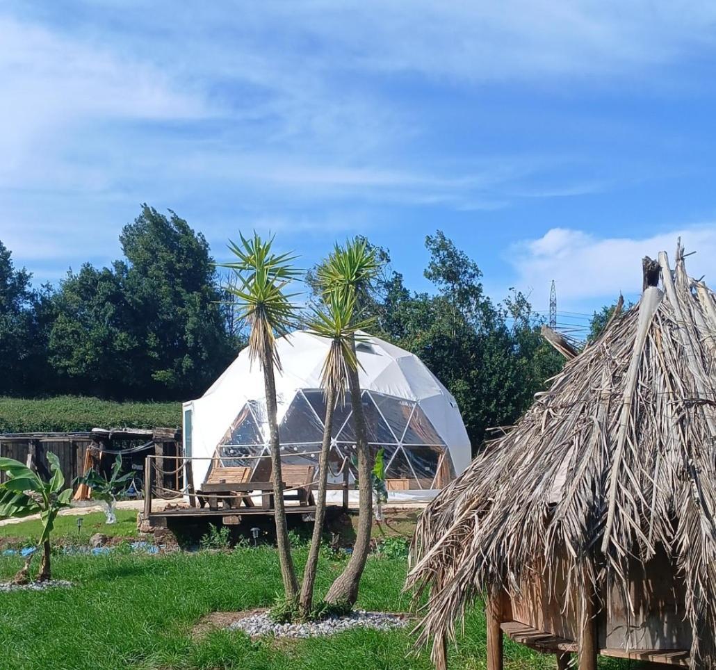 Hotel Glamping Quintana Gijón Exterior foto
